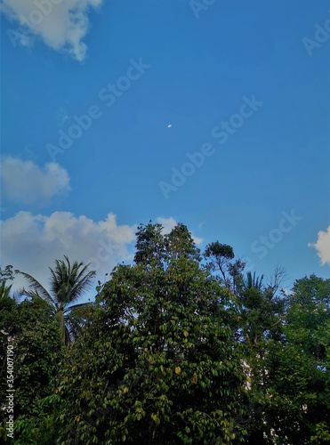 Green nature with beautiful clouds and faraway small moon in the blue sky