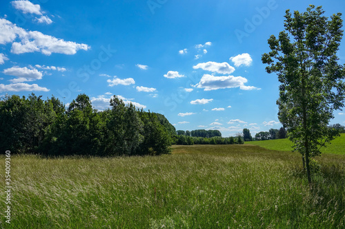 Rheinaue bei Köln Worringen