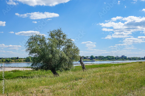 Rheinaue bei Köln Worringen photo