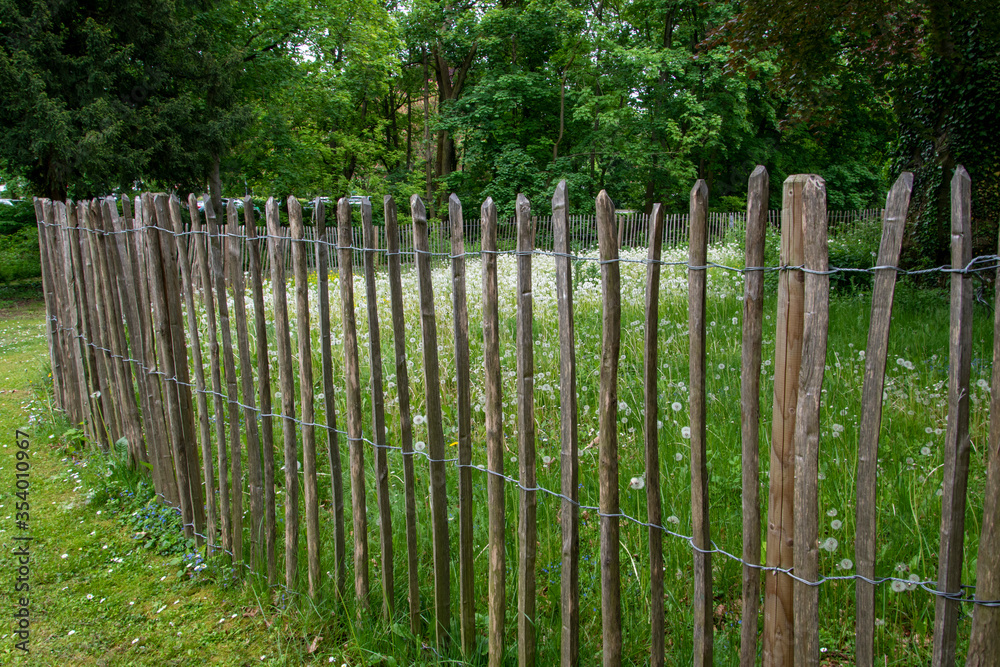Alter Baum eingezäunt mit einem Staketenzaun, Lattenzaun gesehen im Kurpark von Bad Nauheim, Hessen.