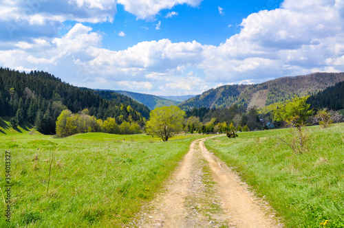 The road in the Tatra mountains