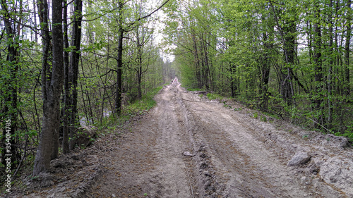 forest road in spring afternoon, Ukraine