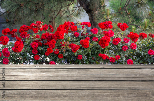 frot view wood Shelf Table on blurred background photo