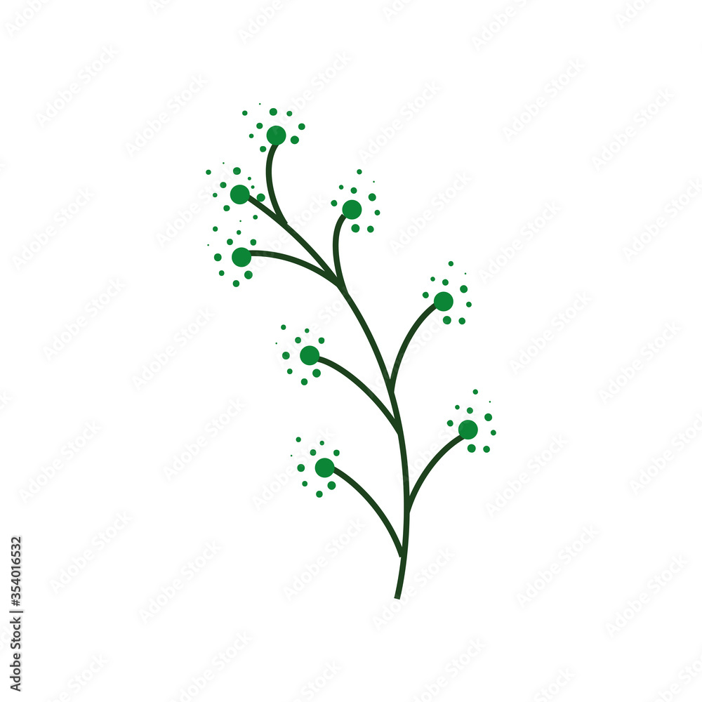 branch with berry nature plant on white background vector illustration design