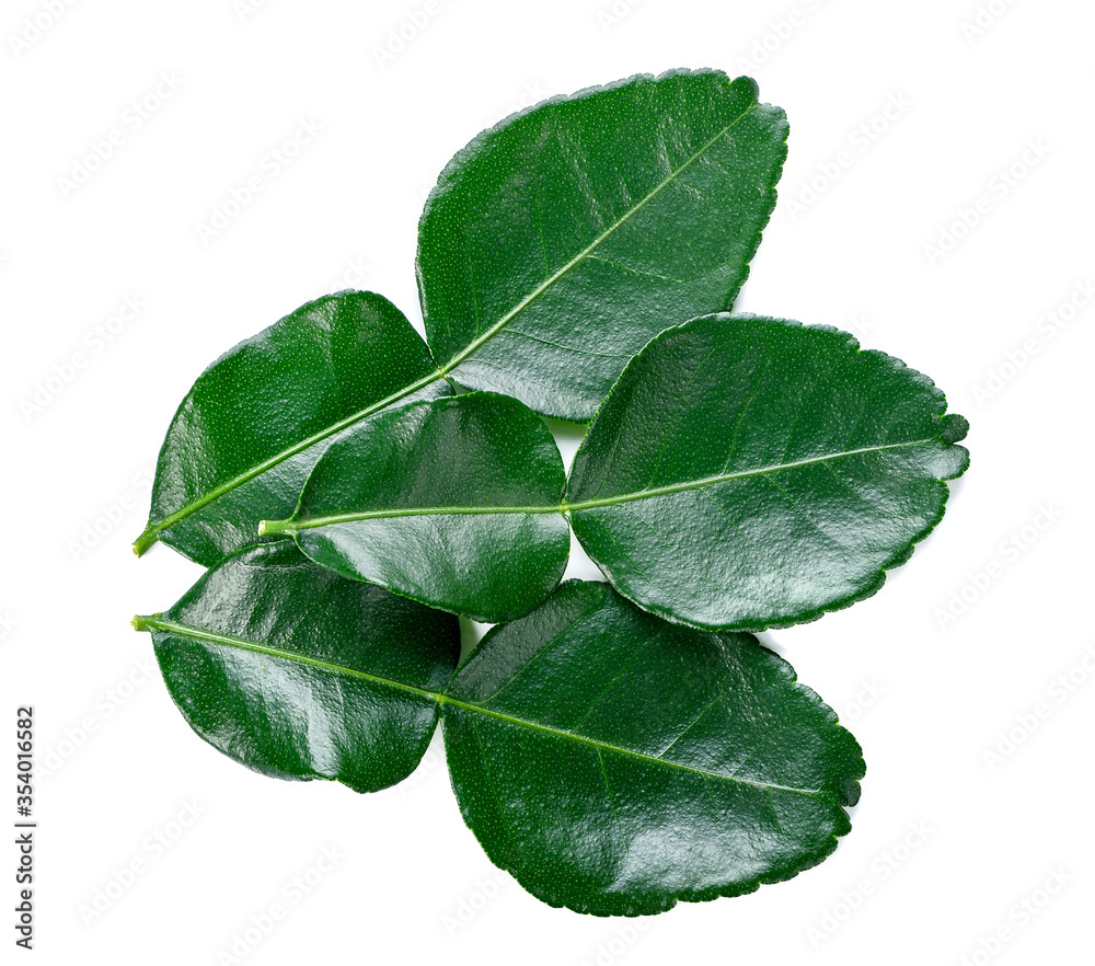 Obraz premium Kaffir lime leaf isolated on white background