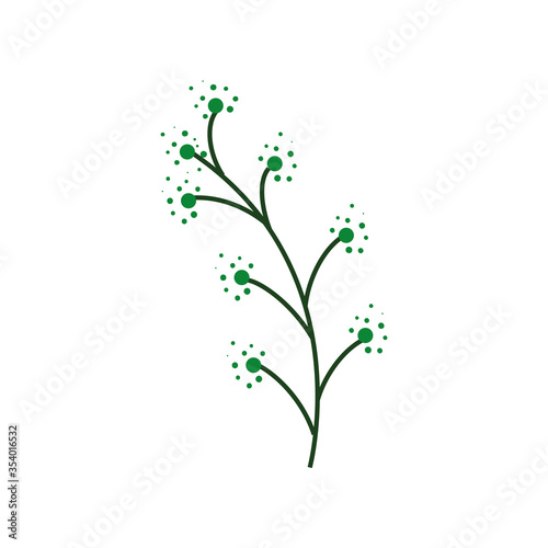 branch with berry nature plant on white background vector illustration design