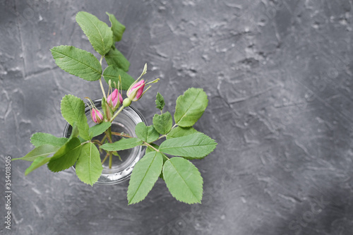 blooming branches of rose hip. flower buds in a small glass vase. forest flowers on a grey concrete background. calendar page or poster or wallpaper.
