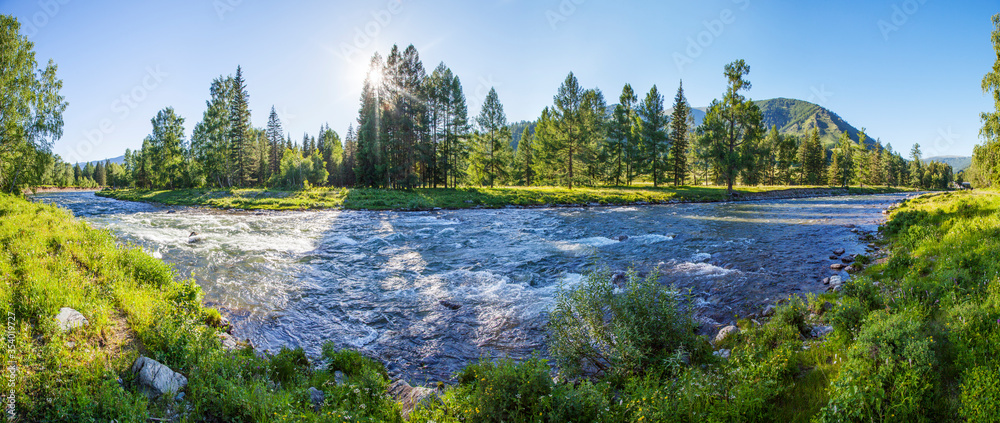 Mountain river on a summer morning, the sun shines. Travel, summer vacation.