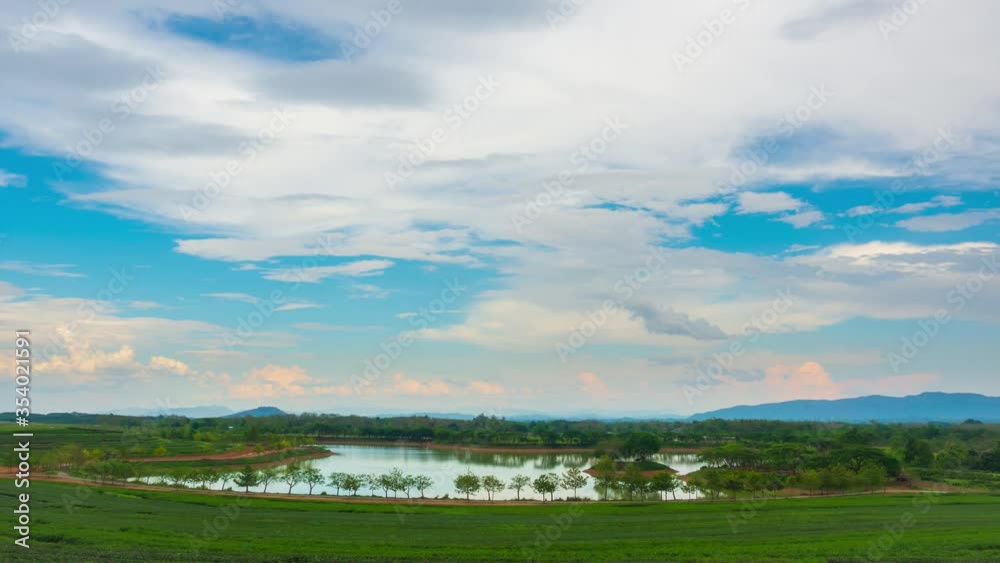 Locked down time lapse of swamp surrounded by tea plantations with beautiful clouds moving in blue sky. Landscape, agriculture, weather and environment concept.
