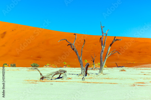 The Namib Naukluft desert