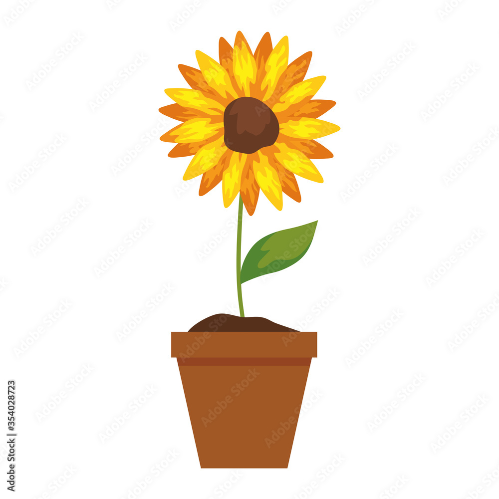 Obraz premium sunflower in pot plant on white background vector illustration design