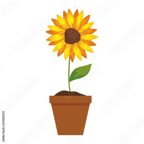 sunflower in pot plant on white background vector illustration design