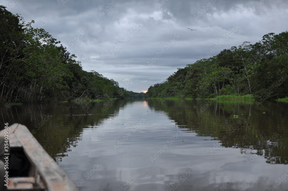 Naklejka premium Rio Amazonas