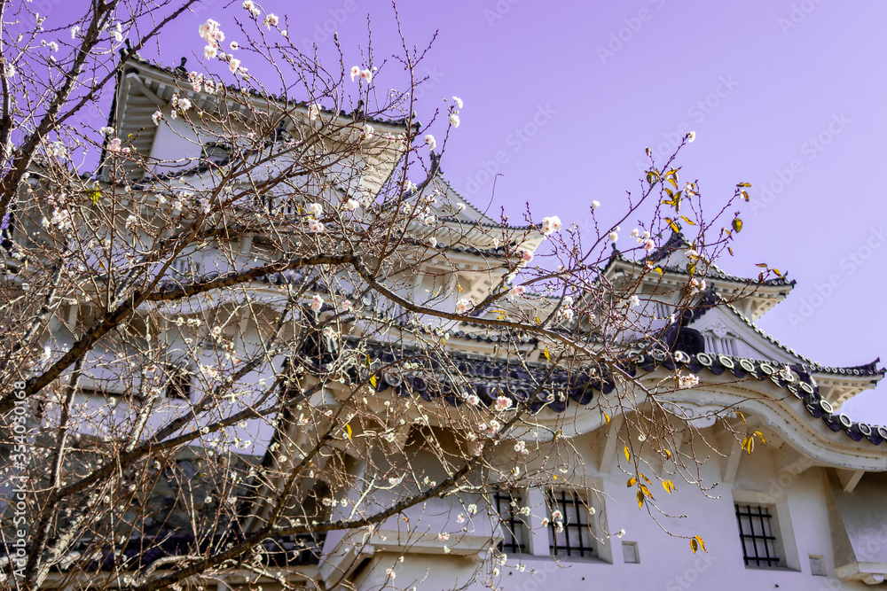 Φωτογραφία Himeji Castle (White Egret Castle, White Heron Castle) - Japanese castle complex situated in the city of Himeji, Japan