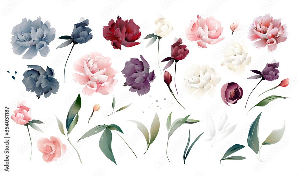 Set flowers peonies, leaves. Wedding concept. Floral poster Vector burgundy, pink, blue peony, watercolor  design