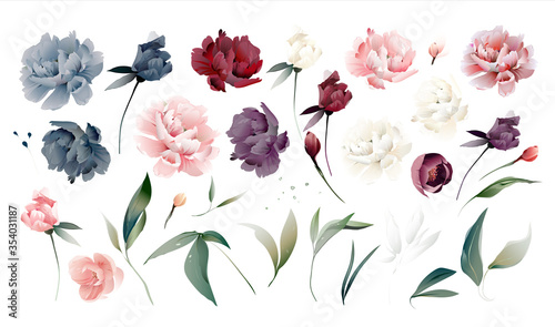 Set flowers peonies, leaves. Wedding concept. Floral poster Vector burgundy, pink, blue peony, watercolor  design photo