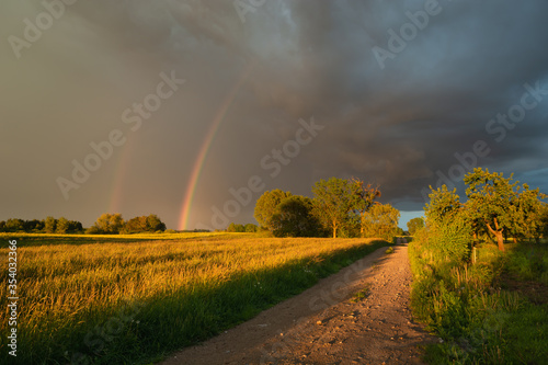 A rainbow in the cloudy sky, trees and a dirt road through the meadow