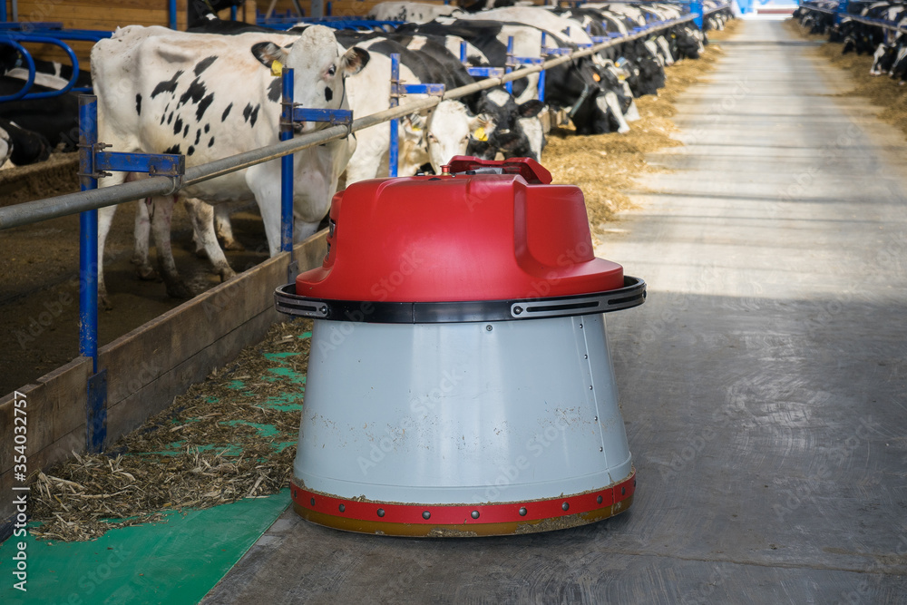 Ταπετσαρία robot feed pusher on a dairy farm with cows
