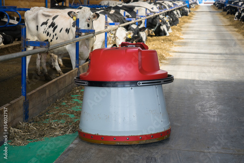Billede på lærred robot feed pusher on a dairy farm with cows