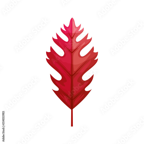 autumn leaf or fall foliage on white background vector illustration design