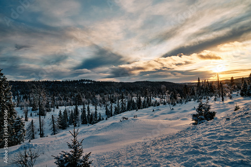 In the cold winter the sun is bright photo