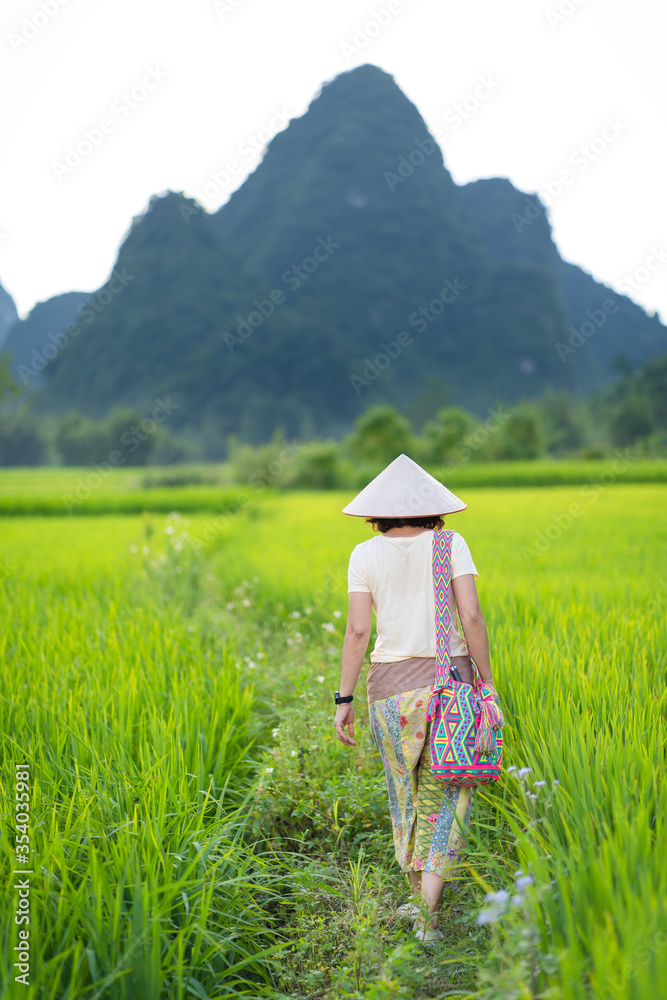 Φωτογραφία Asian women are walking in the beautiful green rice terrace field at Sa Pa, Lao