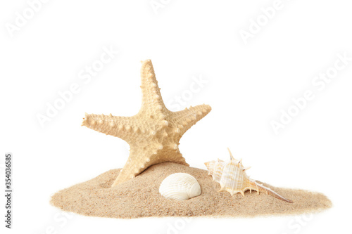 Seashells with sand isolated on a white background with copy space. Summer concept