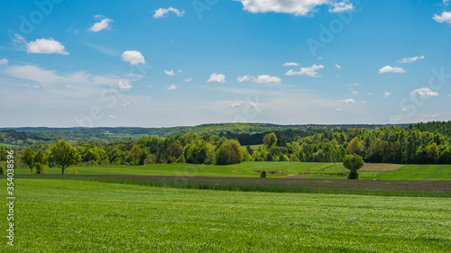 Nature landscape of green field in Kashubian region in Poland. Nature and agriculture concept.