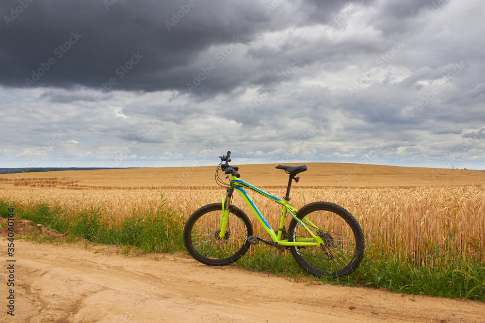 Fototapeta premium bicycle wheat field,in a wheat field stands a bicycle in thunderstorm weather