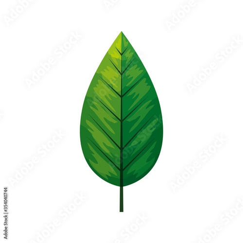 eco green leaf on white background vector illustration design
