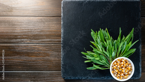 Sliced corn micro greens on a black board..Food photography for the site. Top view, copy space.