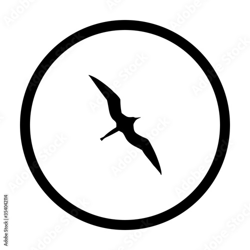 Fregattvogel und Kreis