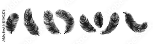 Black bird feathers. Images different isolated fluffy, soft feather contours . Vector realistic quill silhouettes on white background