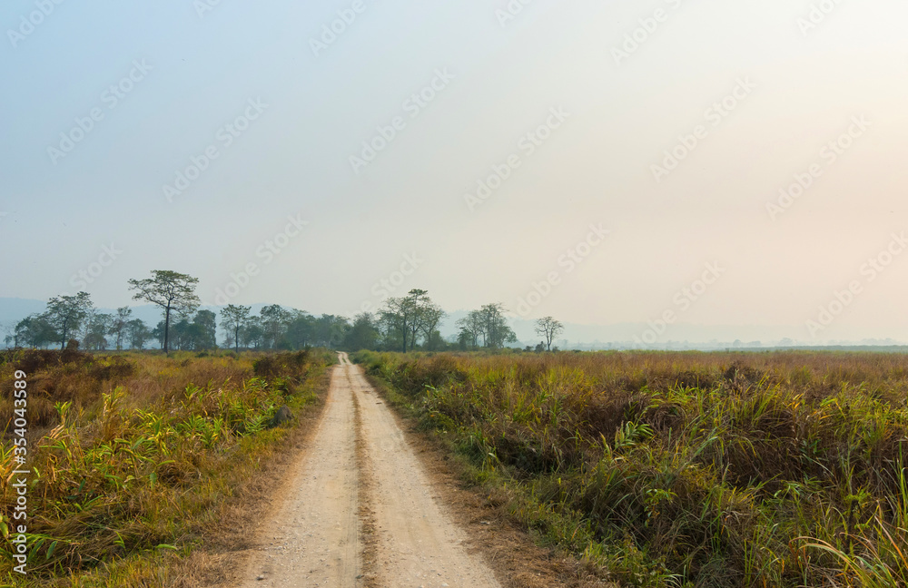 Dirt road surrounded by grassland in Kaziranga National Park, India.