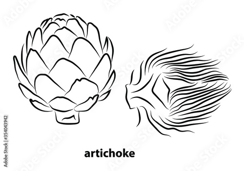 Digital Abstract Drawing of Artichoke Vegetable - Vector sketch