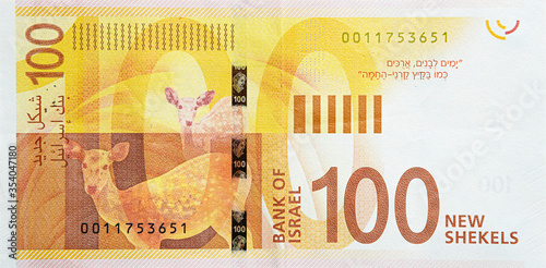 Reproduction of 100 NIS bill banknote. The poet Leah Goldberg. New Israeli Shekels. Bank of Israel. photo