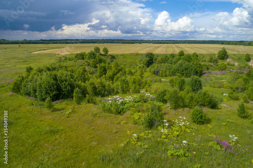 Rural landscape of the Leningrad region on a July day (aerial photography). Russia