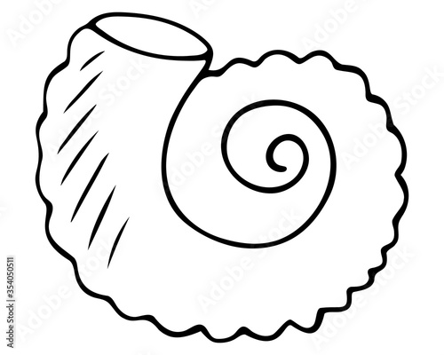Shell. Marine fossil. Vector illustration. Outline on a white isolated background. Hand drawing style. Sketch. Former clam house. Exoskeleton of the invertebrate. Coloring book for children.