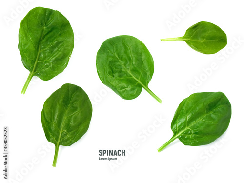 Spinach leaves isolated on white background. Top view © Sasha