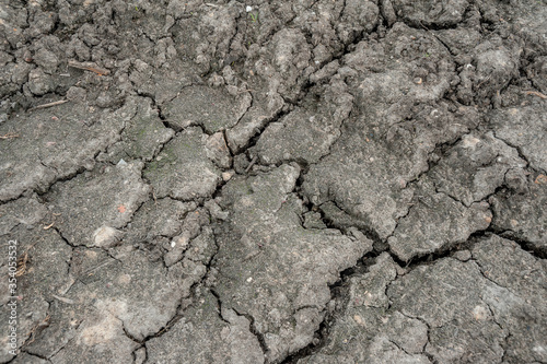 Texture of gray earth with cracks