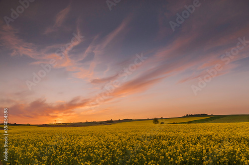 zachód słońca nad polami rzepaku