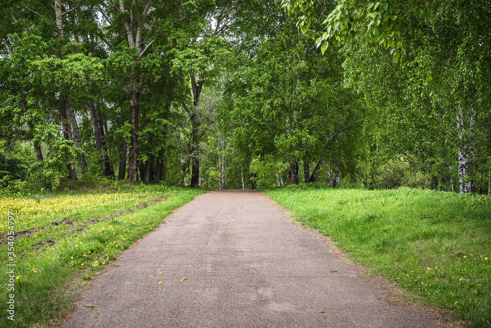 Lonely road in spring park