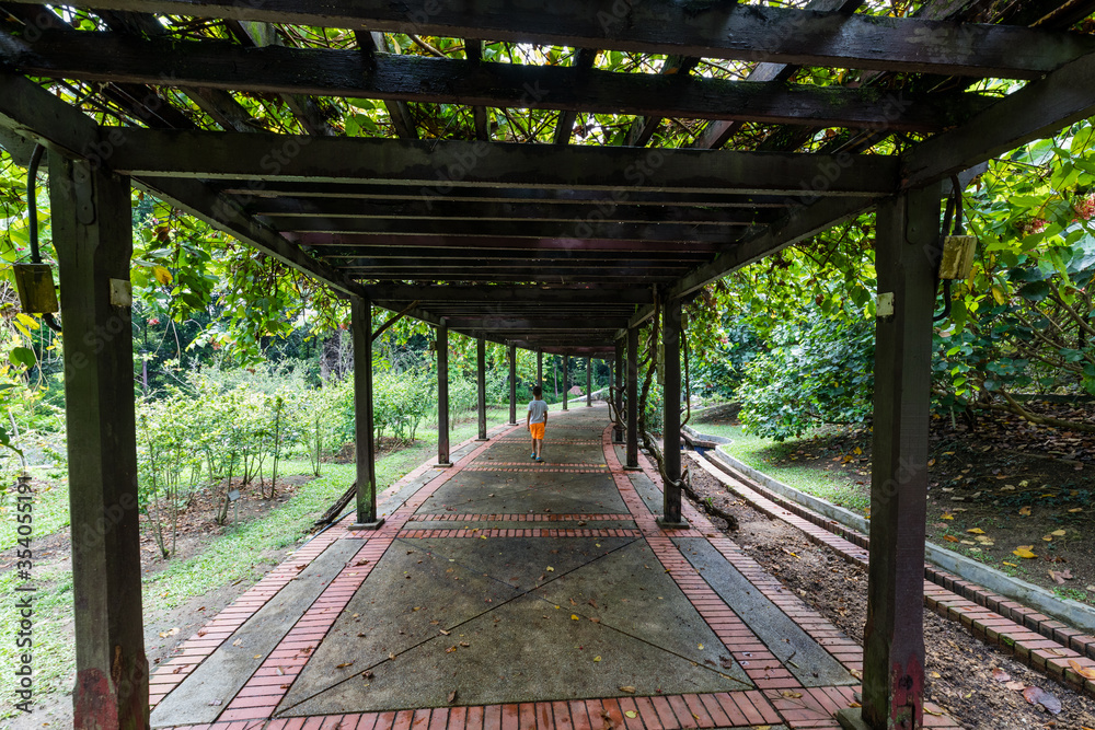 Obraz premium Botanical gardens, Kuala Lumpur, Malaysia