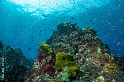 Colourful coral reef and shoal of fish in a tropical sea of Andaman sea