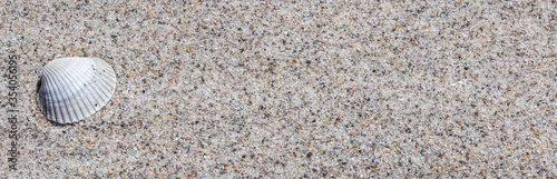 texture of beach sand background