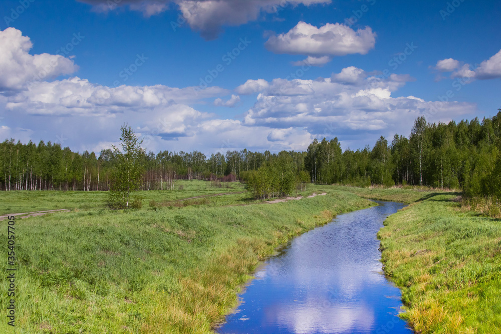 beautiful landscape of Central Russia with birch trees and clear sky beautiful landscape of Central Russia with birch trees and clear sky