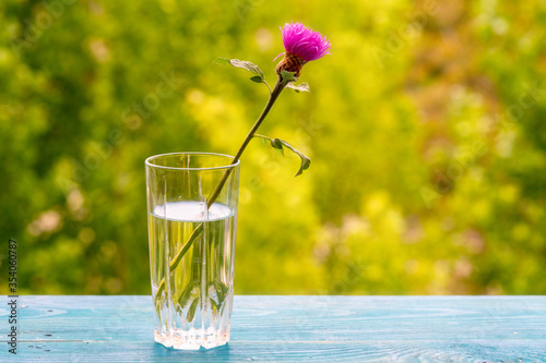cornflower in a glass with water on a windowsill on a background of nature