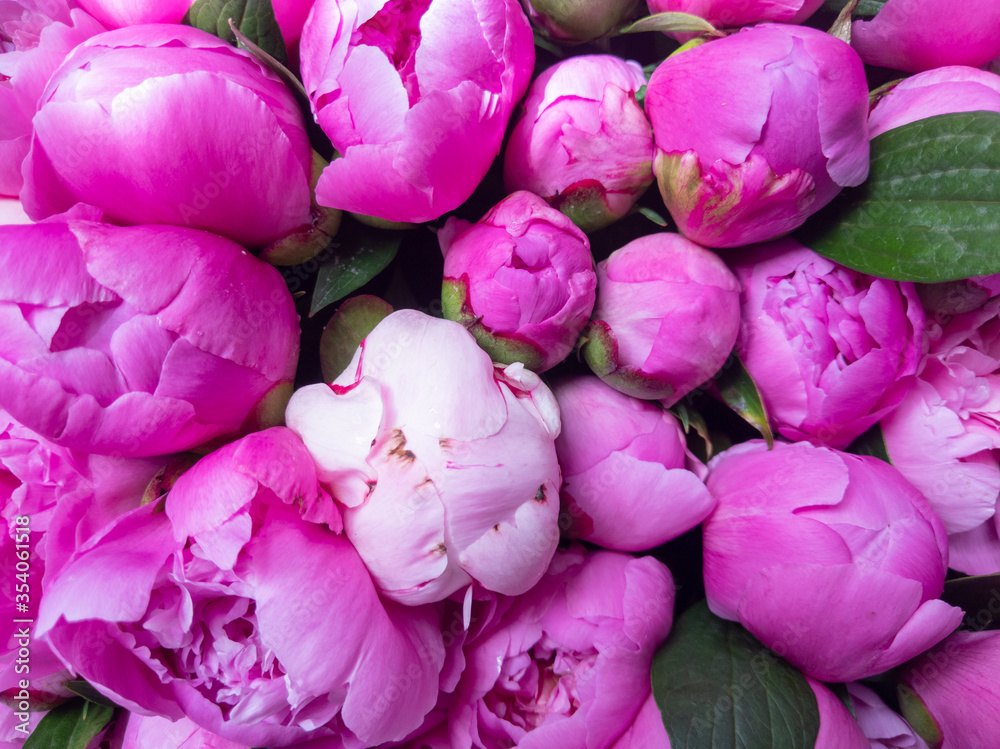 Pink peonies bouquet closeup, spring flowers for Mother's Day. Wedding events and other holidays. Flat lay.