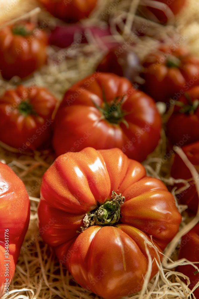 tomatoes in the market