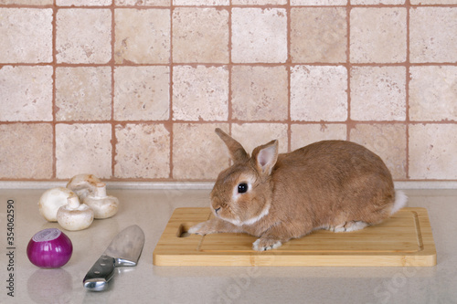 Rabbit on the cutting Board